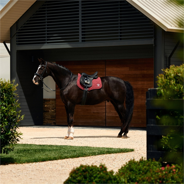 2026 WeatherBeeta Softshell Pro 3D Air-Tec All Purpose Saddle Pad 1030350003 - Burgundy